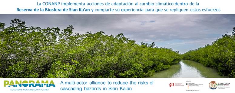 Slide 6