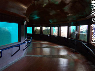 Centro Mexicano de la Tortuga