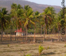 CONANP
