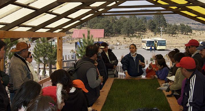 La CONANP coordina 45 Programas de Conservación de Especies